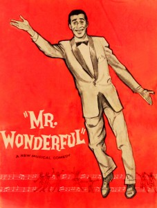 Mr-Wonderful