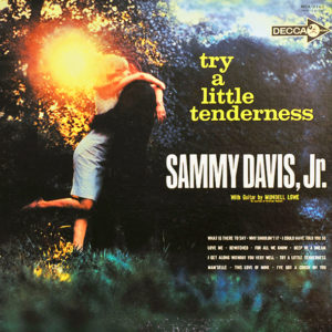Try A Little Tenderness LP