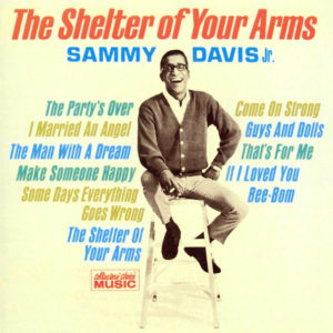 The Shelter Of Your Arms CCM